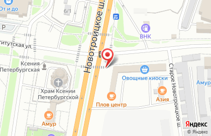 Рыбная компания Дельфин в Благовещенске на карте
