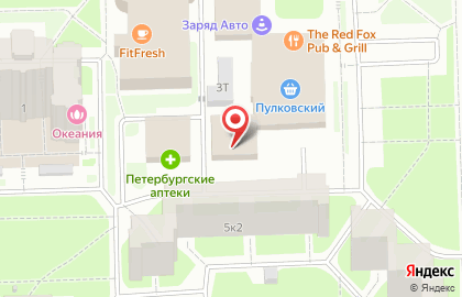 Магазин разливного пива Лит.Ра на Пулковском шоссе, 3 к 1 на карте
