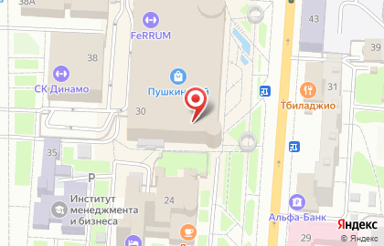 Магазин Тамбовчанка в Пензе на карте