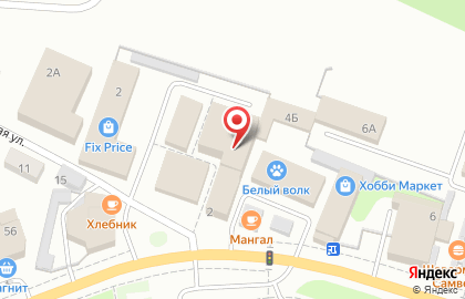 Магазин зоотоваров на Советской, 4 лит А на карте