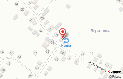 Продуктовый магазин Купец, продуктовый магазин на улице Никитина на карте