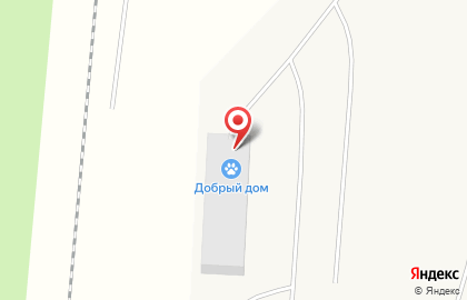 Приют для животных в Архангельске на карте