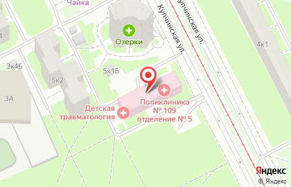 Городская поликлиника №109 на Купчинской улице на карте
