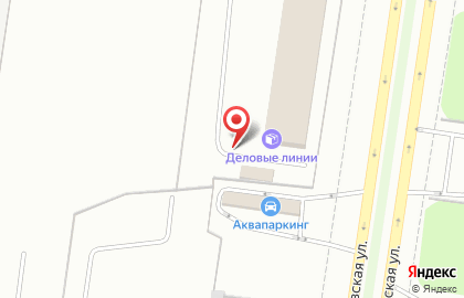 Транспортно-экспедиторская компания Деловые Линии на Борковской улице на карте