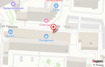Аптека Мицар-н на улице Горького на карте