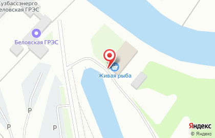 Магазин разливных напитков Vansdorf в Кемерово на карте