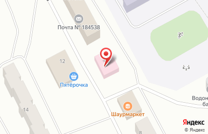 Оленегорская центральная городская больница в Оленегорске на карте