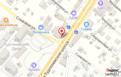 Магазин Алкотека на Сливовой улице на карте