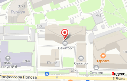 Кафе Трикатель на улице Профессора Попова на карте