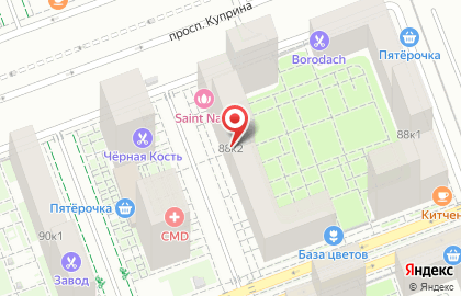Городская база цветов на улице Александры Монаховой 88 на карте
