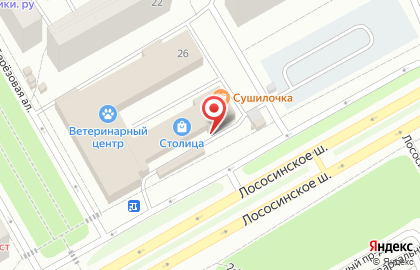 Универсальный магазин Пять углов на Лососинском шоссе на карте