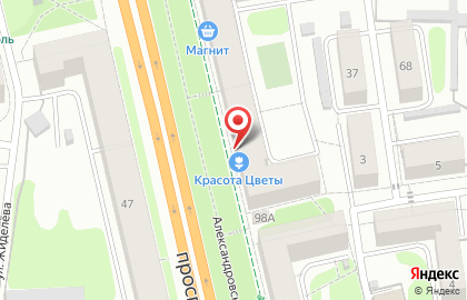 Магазин у дома Бристоль на проспекте Ленина на карте
