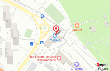 Пункт выдачи заказов Faberlic на Лесной улице в Дзержинском на карте