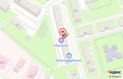 ИП Пташка С.В. генеральный представитель Региональный стандарт, ООО на карте
