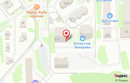 Центр танца Energy в Петропавловске-Камчатском на карте