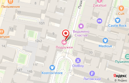 Студия лазерной эпиляции Подружки на Пушкинской улице на карте