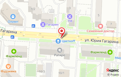 Компания Цветкоff на улице Юрия Гагарина на карте