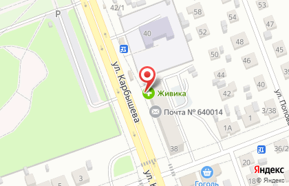 Аптека Живика в Кургане на карте