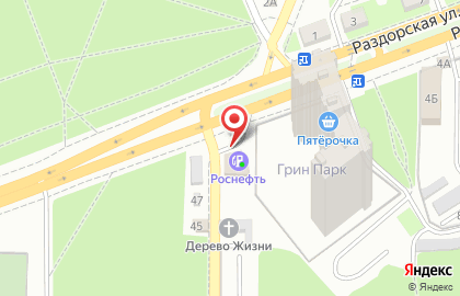 АЗС Роснефть на Раздорской улице на карте