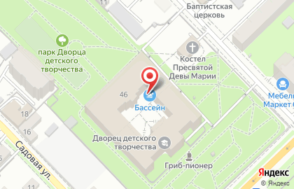 Бассейн Рязанский городской дворец детского творчества на карте