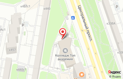 Росток бамбука на карте