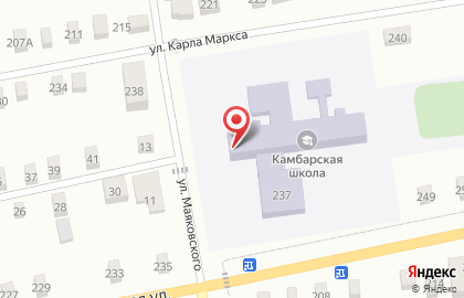 Камбарская средняя общеобразовательная школа №2 на карте