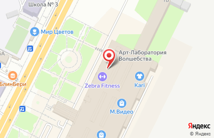 Студия красоты и загара Magic sun в Тракторозаводском районе на карте