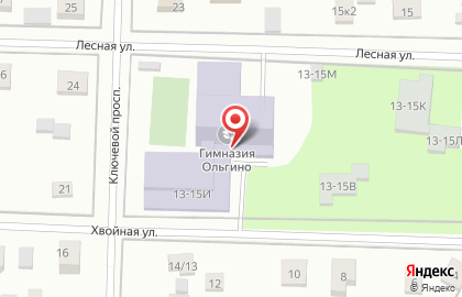 Международная гимназия Ольгино на карте