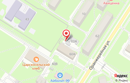 Кама-Инструмент в Пушкине на карте