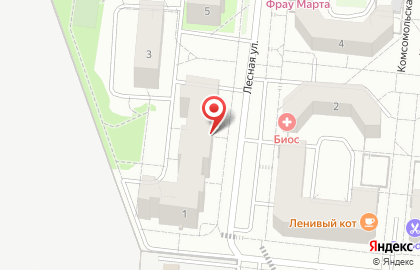 На Лесной, ИП Янковая И.А. на карте