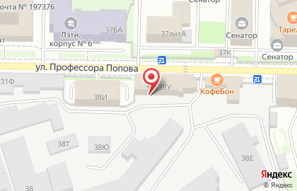 Производственная компания Реставратор на улице Профессора Попова на карте