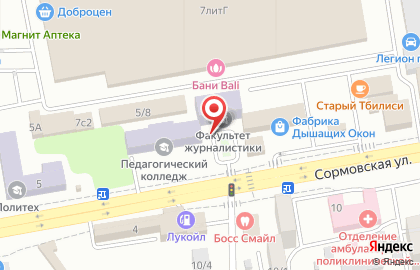 Торговая компания Терра на Сормовской улице на карте
