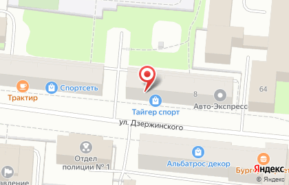 Магазин спортивных товаров Тайгер Спорт на улице Дзержинского на карте