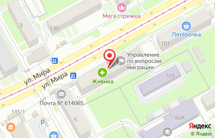 Аптека Живика в Перми на карте