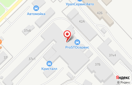 Рыжий пес на Пихтовой улице на карте