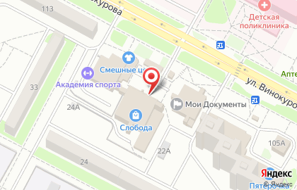 Зоомагазин, ИП Репин А.А. на улице Винокурова на карте