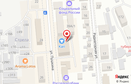 Автомагазин Родные масла на улице Пушкина на карте