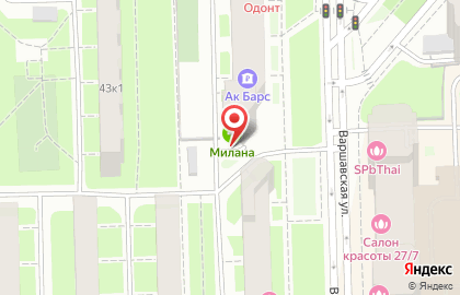 Аптека Милана на Варшавской улице на карте