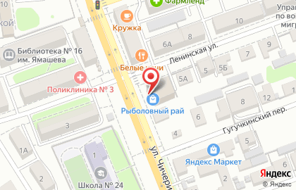 Специализированный магазин Рыболовный Рай на Ленинской улице на карте