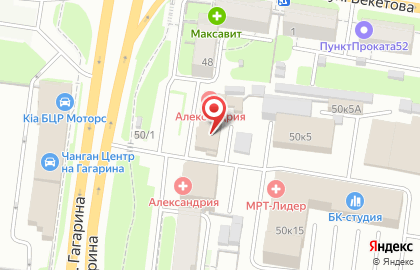 Детская медицинская клиника Александрия на проспекте Гагарина на карте