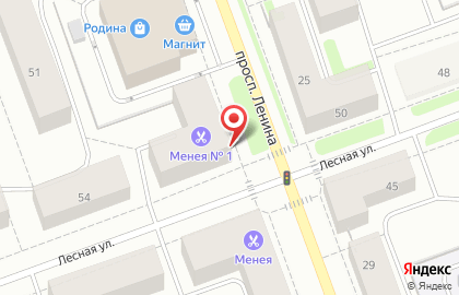 Магазин разливных напитков Пивас и Квас на проспекте Ленина на карте