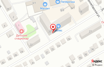 Ветеринарная клиника Велес в Новосибирске на карте