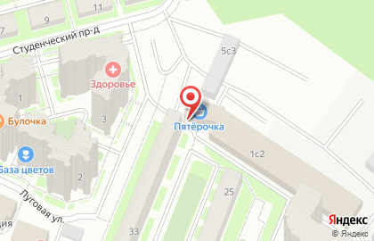 Супермаркет Пятёрочка в Студенческом проезде в Ивантеевке на карте