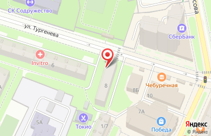 Пес и кот на улице Тургенева на карте