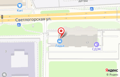 Магазин автотоваров Ладья на Светлогорской улице на карте