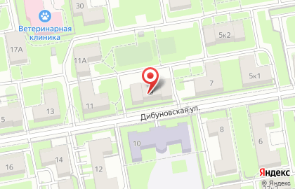 Стиль на Дибуновской улице на карте