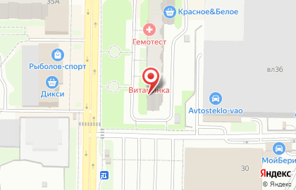 Зоомагазин пёс И кот на карте