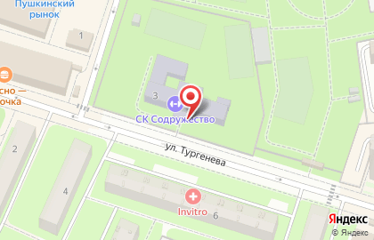 Центр детского творчества г. Пушкино на карте