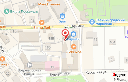 Дива на Центральной улице на карте
