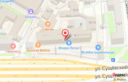 Папа-Карло - кухни ЗОВ на карте